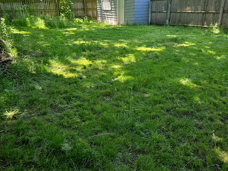 1408 E Oakland Ave — Photo 15