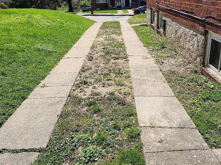 2800 Shirey Ave — Photo 4