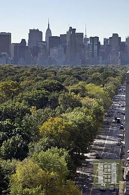 Sold by Halstead Real Estate | media 10