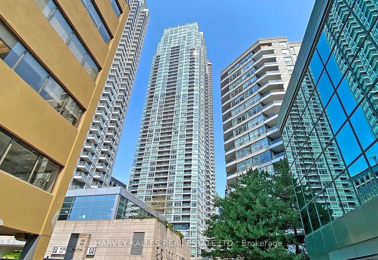 1 bed, $2,650 — Photo 2