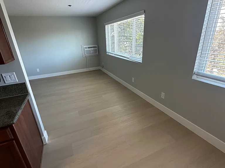 Living Room and Dinette Area Windows