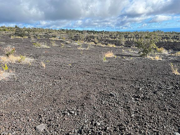 2nd image of Lehua Ln
