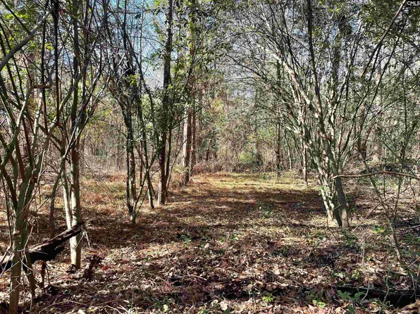 0 Green Hills Dr, Gilbert, SC 29054