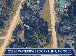 22880 Wateridge Loop, Flint, TX 75762