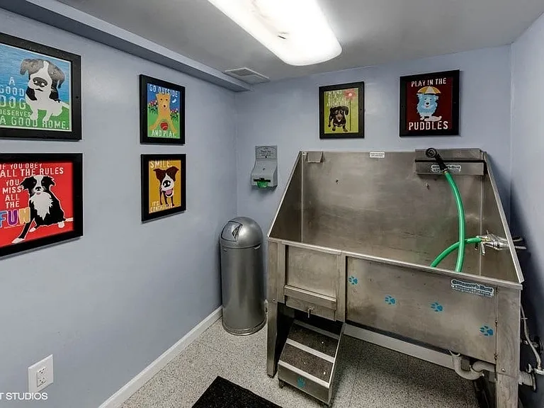 Pet Grooming Spa