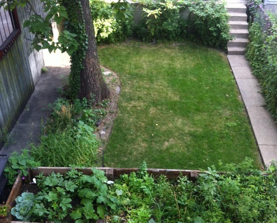 yard