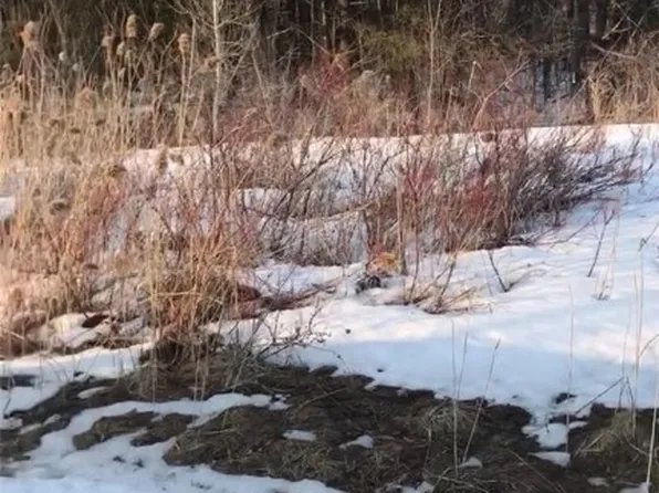 0 Hulser Rd #47, Utica, NY 13502