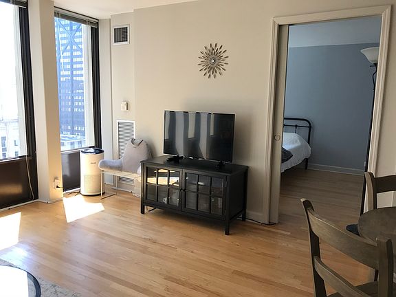 5th image of 100 E Walton St APT 29C