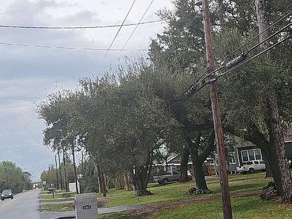 4th image of 1003 Bob Smith Rd