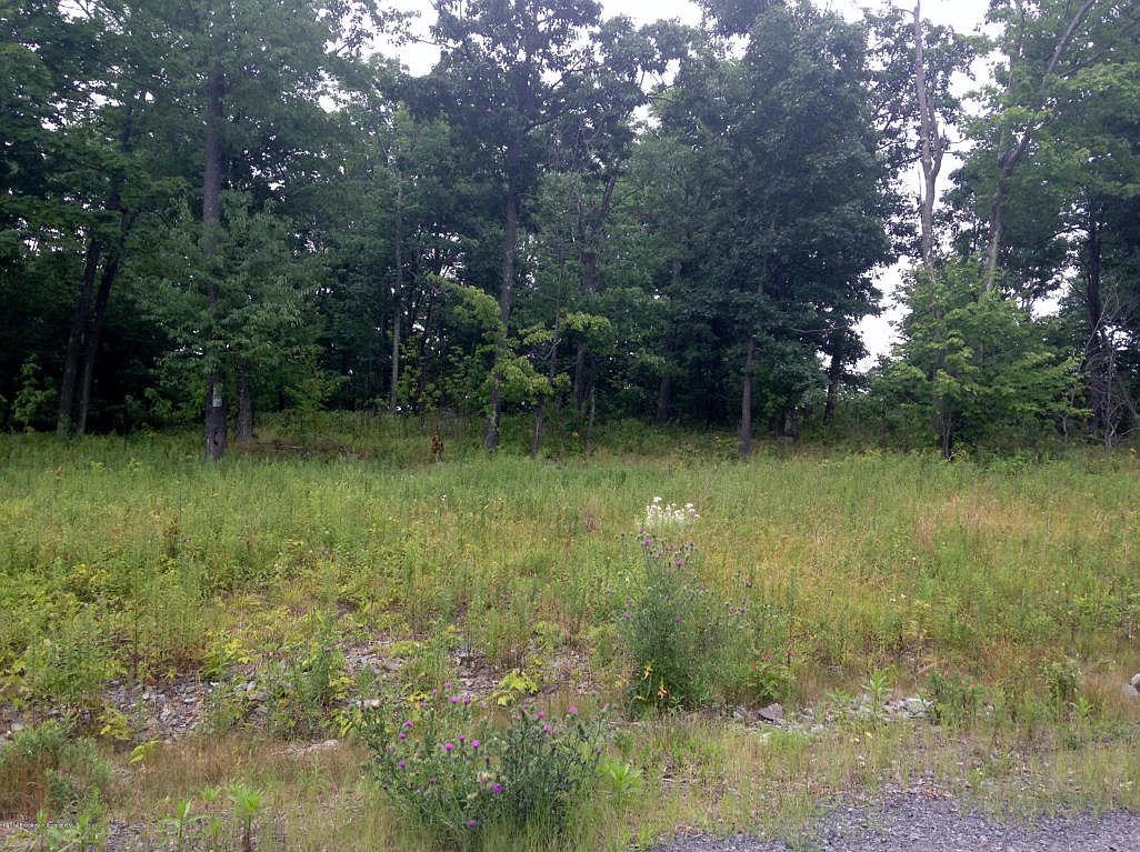 103 Mountainview Ct, Roaring Brook Twp, PA 18444 Zillow