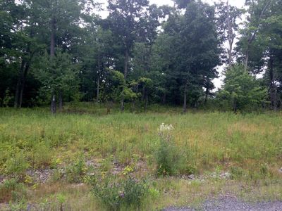 103 Mountainview Ct, Roaring Brook Twp, PA, 18444