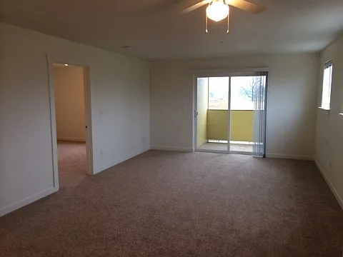 1017 SE 12th Ave — Photo 216