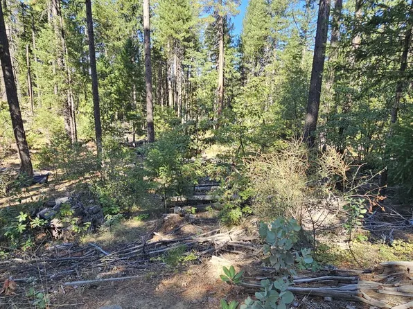 1480 Pine Forest Dr, Hayfork, CA 96041