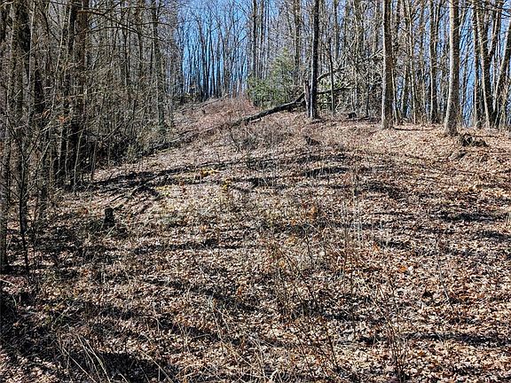 3rd image of 49 Hazel Top Section Teaberry Ridge Rd