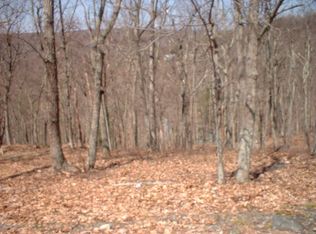 315 Mockingbird Ct, Bushkill, PA 18324