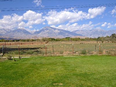 Backyard Views