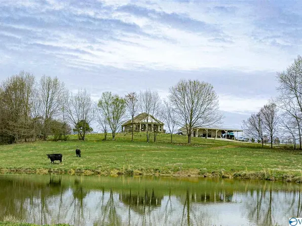 7875 Snake Rd, Athens, AL 35611
