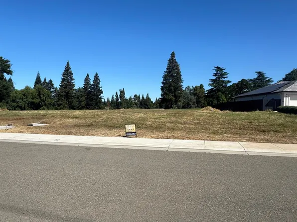 9905 Plaza De Oro Dr, Oakdale, CA 95361