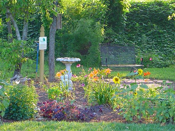 Garden Area Before Completion
