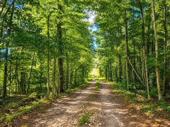 0 Peacock Rd, Grove Hill, AL 36451