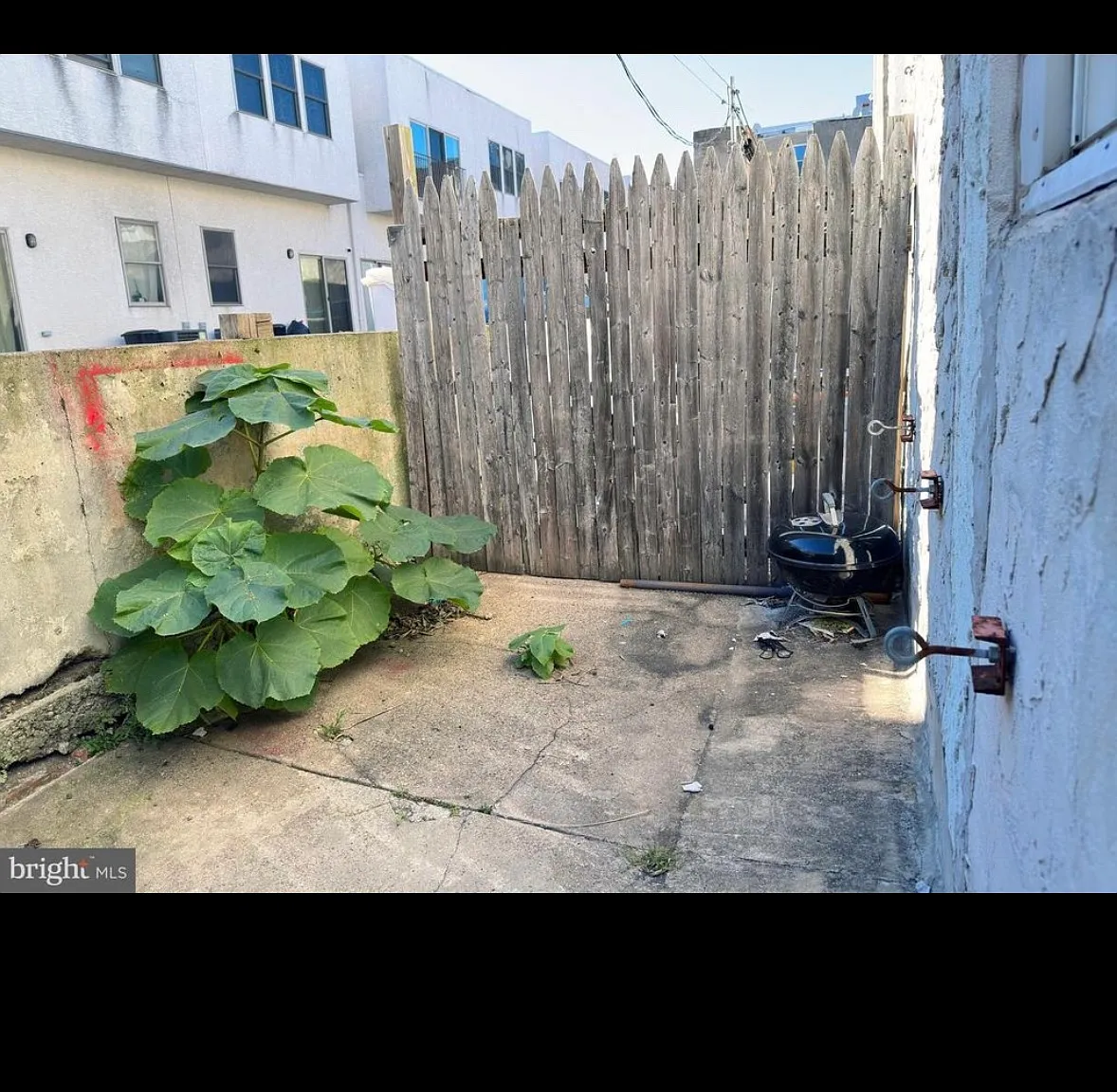 3 bed, 980 sqft, $1,800 — Photo 4