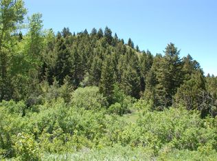 Blocks 261 262 #&-249, Virginia City, MT 59755