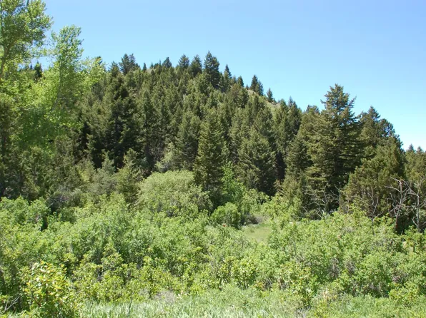 Blocks 261 262 #&-249, Virginia City, MT 59755