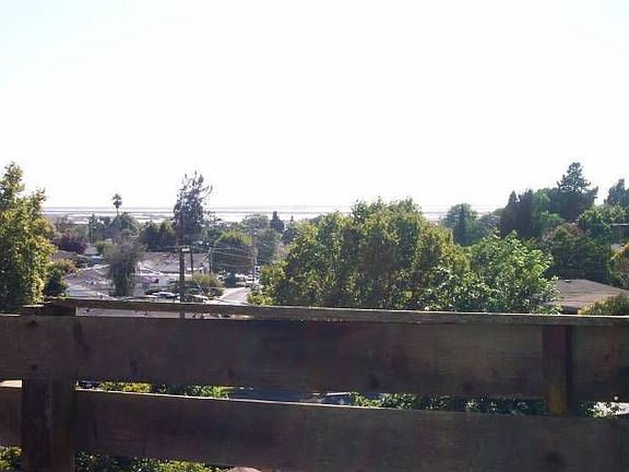 backyard view