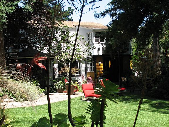 Back Garden