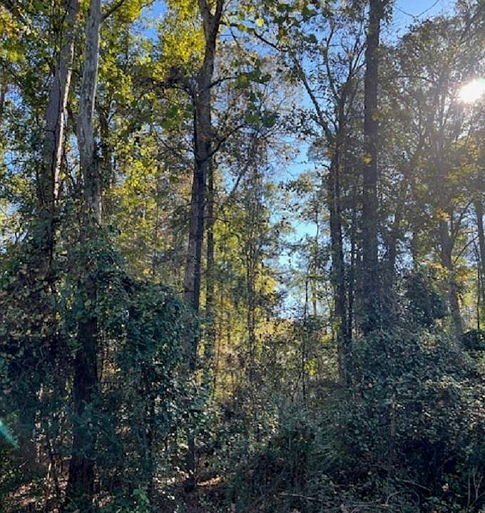 2nd image of LOT 14 Mockingbird Ln