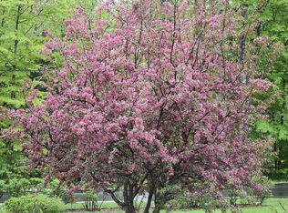 195 Mountain Rd, Newbury, NH 03255