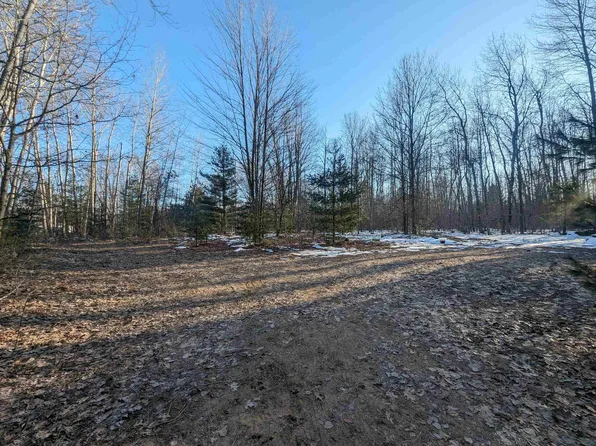 N/a W, Gladwin, MI 48624