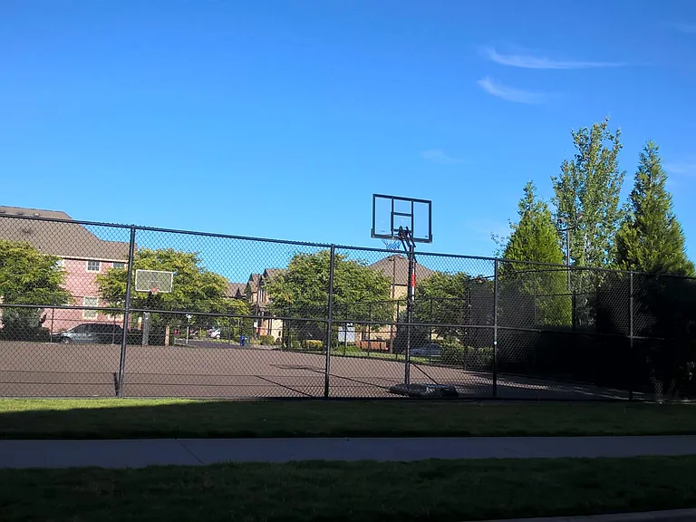 Basketball court