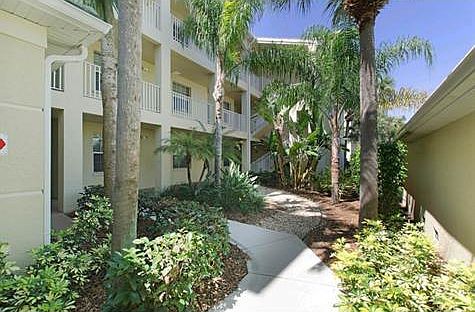 1st image of 3461 Pointe Creek Ct APT 302