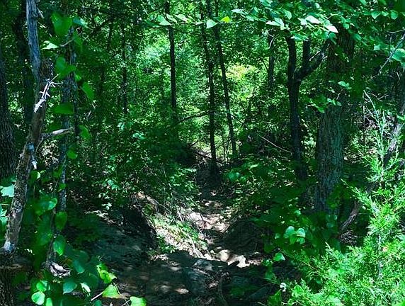3rd image of 11442 County Road 3536