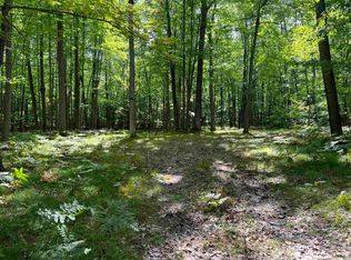 5620 Oak Run Run, Farwell, MI 48622