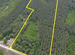 9214 Kingstree Hwy Tract A, Greeleyville, SC 29056