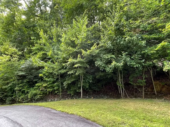 34 Overlook At Byu, Young Harris, GA 30582