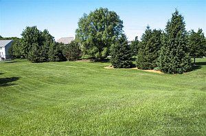 4th image of 1175 Majestic View Ln