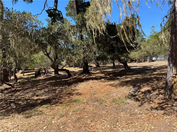 34 Kenneth Dr Lot 34, Cambria, CA 93428
