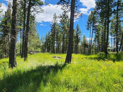 463 Hogue Dr, Bigfork, MT, 59911