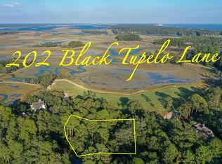 202 Black Tupelo Ln, Kiawah Island, SC 29455