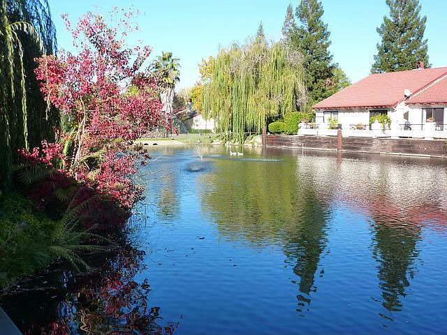 Lake view from patio