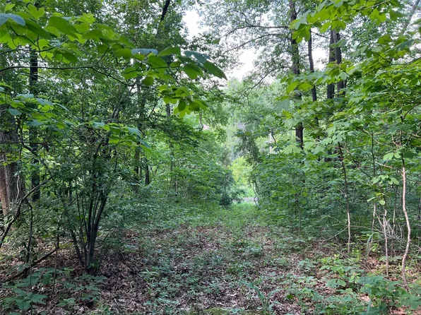 0 Sec #29-8N-3E, Saint Elmo, IL 62458