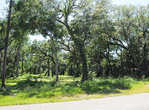 3rd image of 16424 Cherry Laurel Ln #946