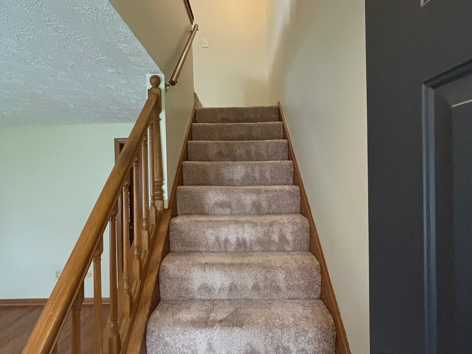 2 bed, 785 sqft, $1,250 — Photo 3