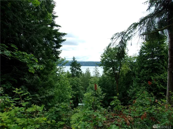 41 Cedar Pl, Brinnon, WA 98320
