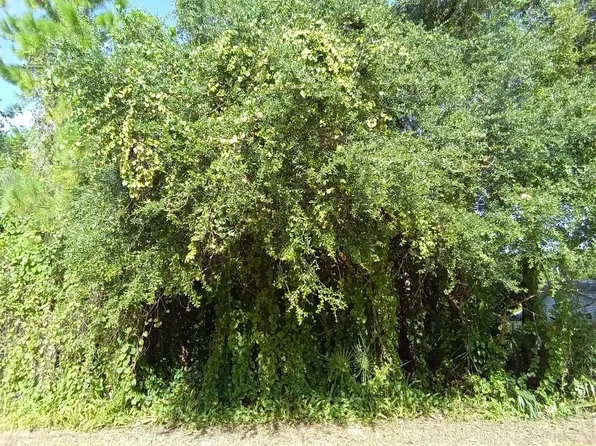 8845 101st Ct, Vero Beach, FL 32967