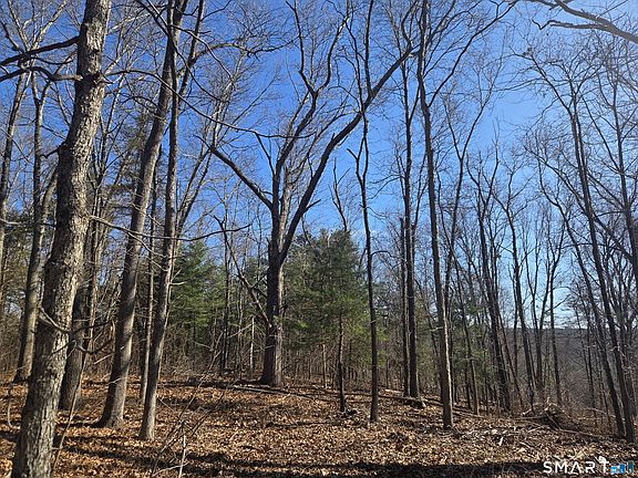 2nd image of 0 Green Hollow Road Road