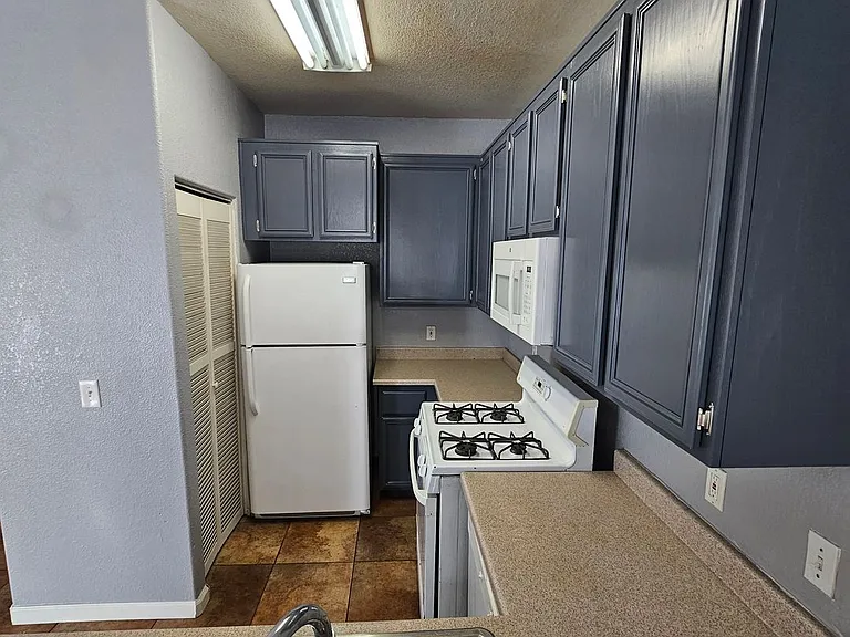 4730 E Craig Rd #1145 — Photo 16